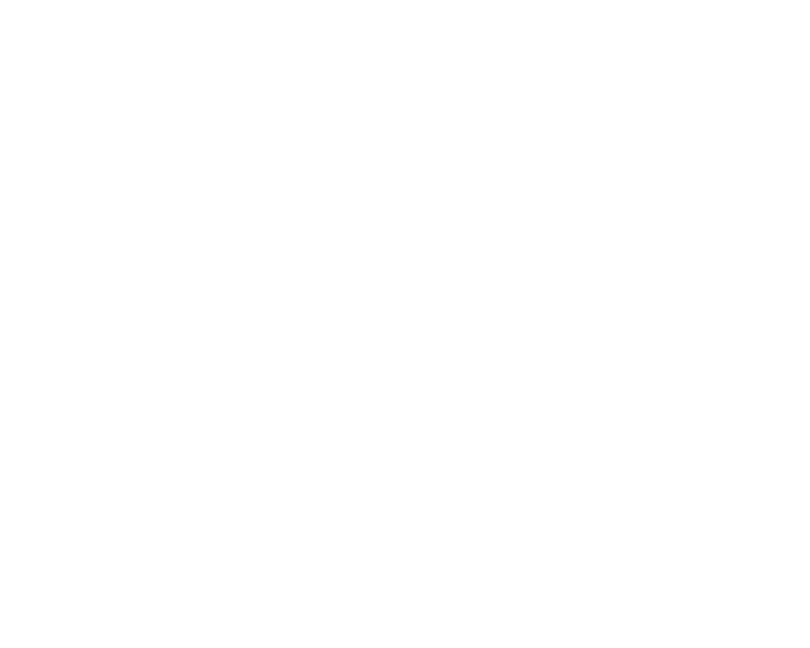 CCTV icon
